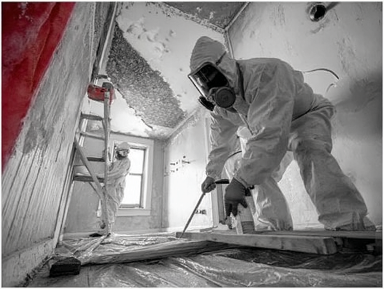 aa_remediation_leadbasedpaint2